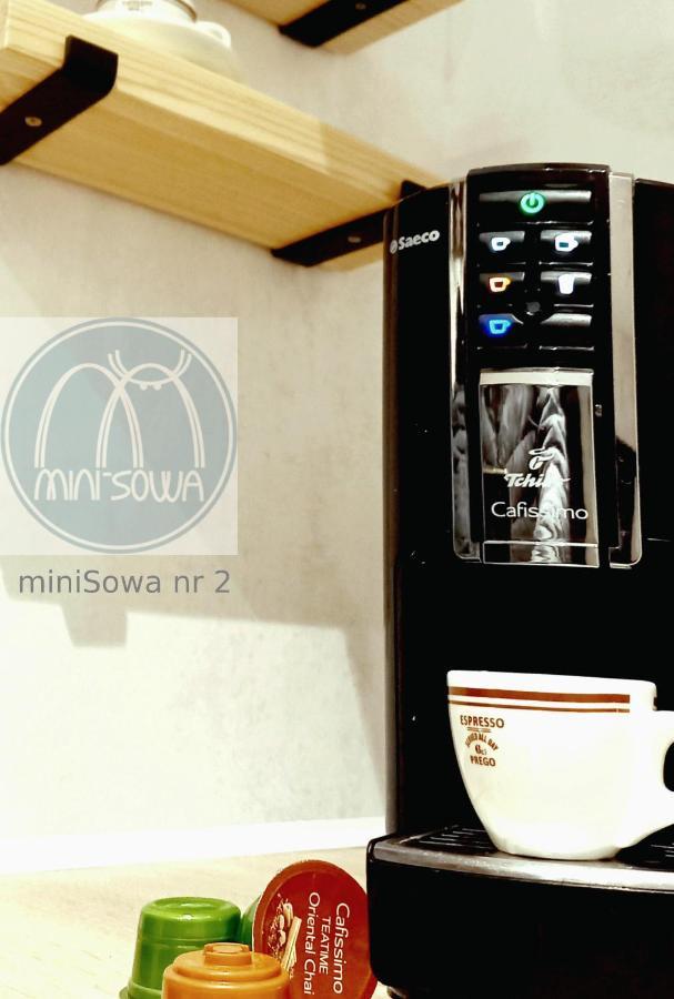 דירות ידלינה-זדרוי Minisowa מראה חיצוני תמונה